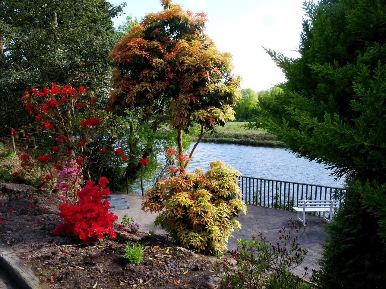 The Grove Lodge Guesthouse Killorglin Exterior foto